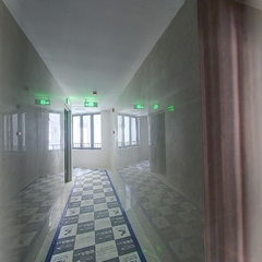 空中森林6-9-3