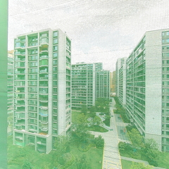 张文雅