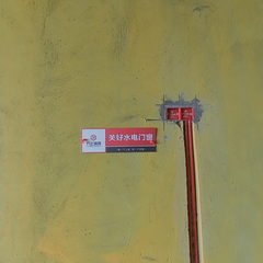 银杏凯丽滨江水电阶段现场实拍（涂信香）