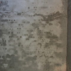 万张街道王桥村